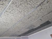 Ses Yalıtımı Bariyerli Bondex Pro Bondex Sünger 63mm 50x100